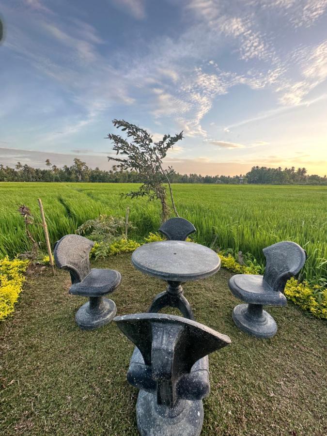 Viveka Inn Guest And Yala Safari Tissamaharama Exterior photo
